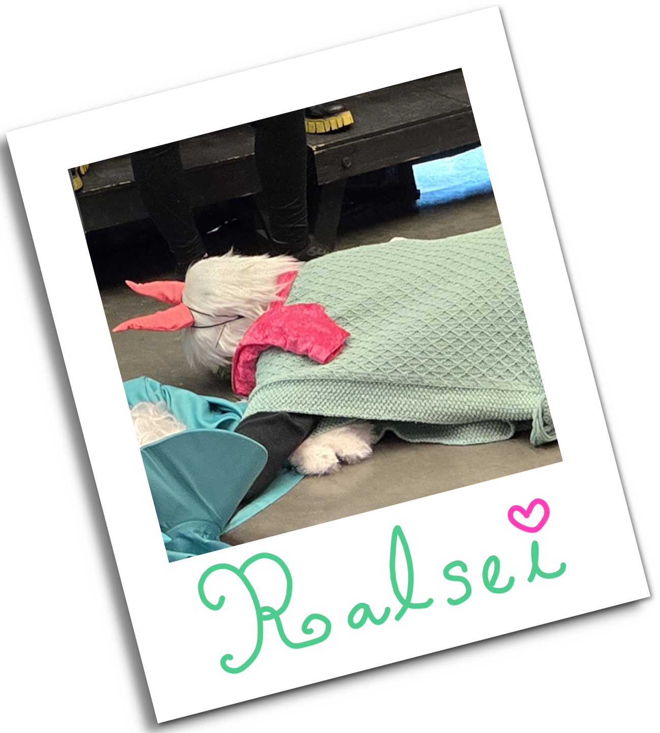 A Ralsei cosplayer lays splatted on the floor beside another Ralsei cosplayer. The photograph has been signed with the name 'Ralsei' in mint green ink with a fuschia heart above the 'i'.